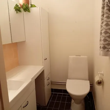 Privat bolig Huoneita Puusaunalla *